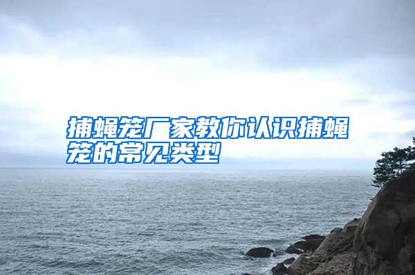 捕蠅籠廠家教你認識捕蠅籠的常見類型