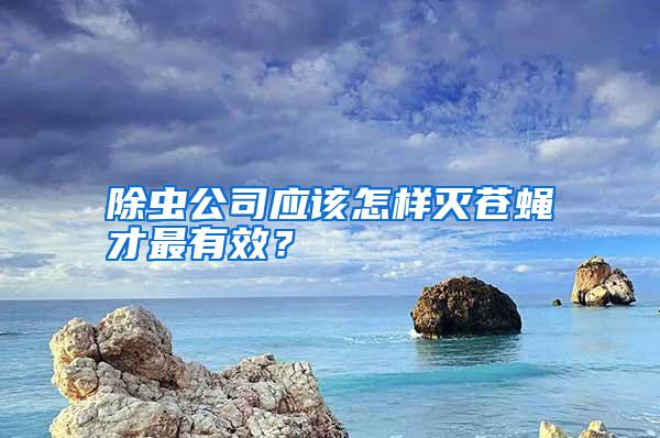 除蟲公司應該怎樣滅蒼蠅才最有效？