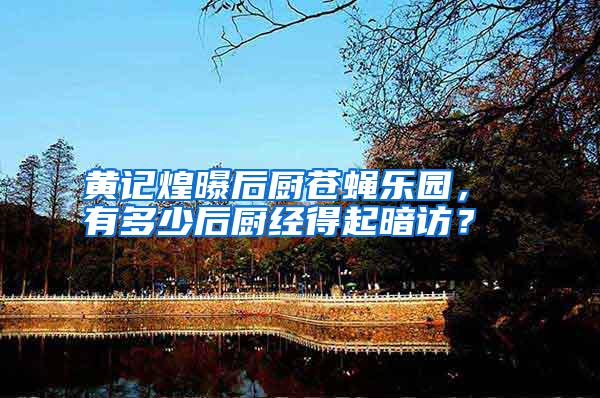 黃記煌曝后廚蒼蠅樂園， 有多少后廚經得起暗訪？