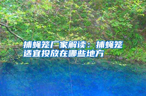 捕蠅籠廠家解讀：捕蠅籠適宜投放在哪些地方