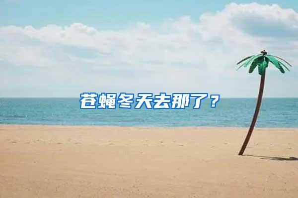 蒼蠅冬天去那了？