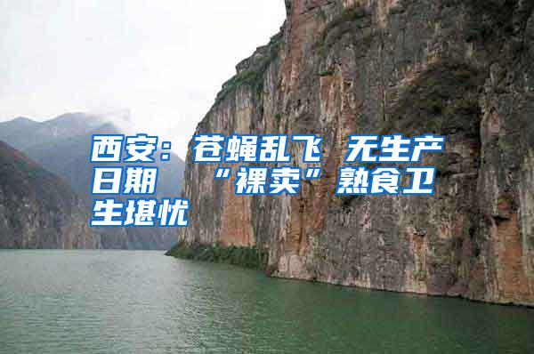 西安：蒼蠅亂飛 無生產日期  “裸賣”熟食衛生堪憂