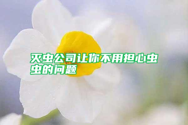 滅蟲公司讓你不用擔心蟲蟲的問題