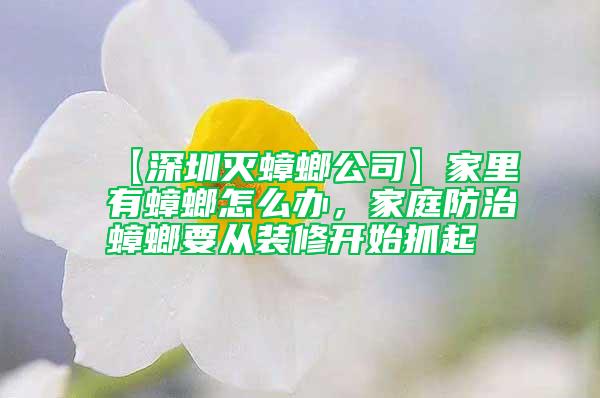 【深圳滅蟑螂公司】家里有蟑螂怎么辦，家庭防治蟑螂要從裝修開(kāi)始抓起