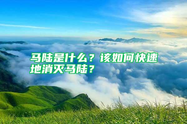 馬陸是什么？該如何快速地消滅馬陸？