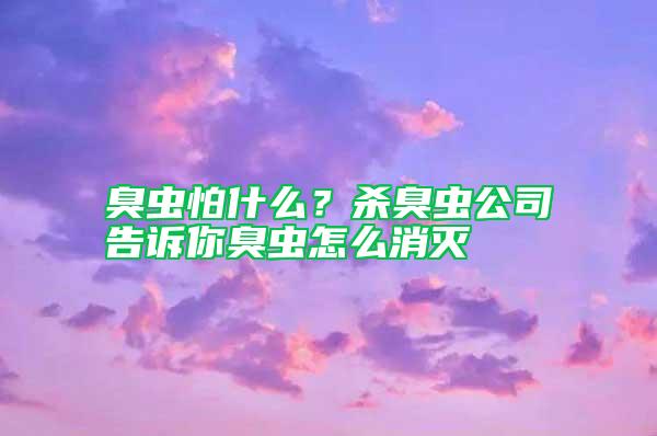 臭蟲(chóng)怕什么？殺臭蟲(chóng)公司告訴你臭蟲(chóng)怎么消滅