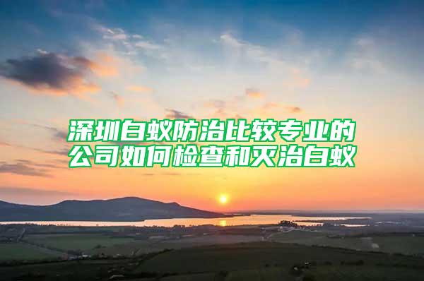 深圳白蟻防治比較專業(yè)的公司如何檢查和滅治白蟻