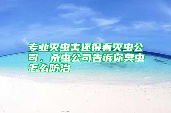 專業滅蟲害還得看滅蟲公司，殺蟲公司告訴你臭蟲怎么防治