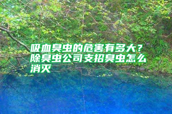 吸血臭蟲的危害有多大？除臭蟲公司支招臭蟲怎么消滅