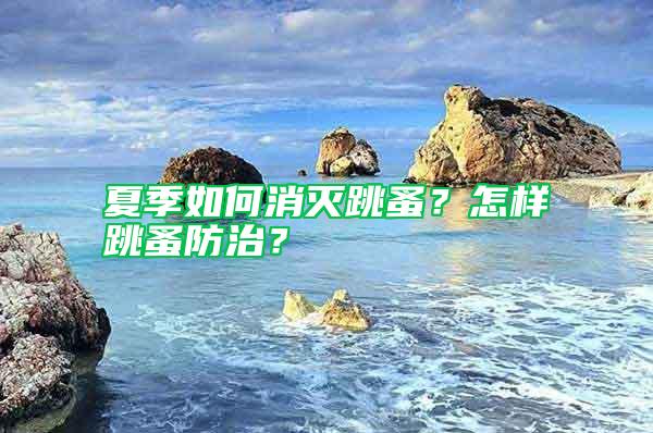 夏季如何消滅跳蚤？怎樣跳蚤防治？