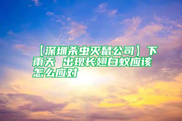 【深圳殺蟲滅鼠公司】下雨天 出現長翅白蟻應該怎么應對