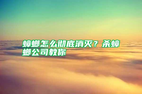 蟑螂怎么徹底消滅？殺蟑螂公司教你