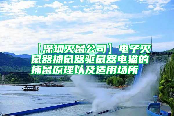 【深圳滅鼠公司】電子滅鼠器捕鼠器驅(qū)鼠器電貓的捕鼠原理以及適用場(chǎng)所