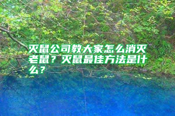 滅鼠公司教大家怎么消滅老鼠？滅鼠最佳方法是什么？