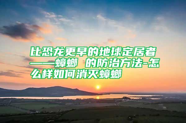 比恐龍更早的地球定居者——蟑螂 的防治方法-怎么樣如何消滅蟑螂