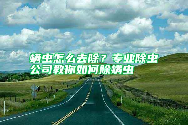 螨蟲怎么去除？專業除蟲公司教你如何除螨蟲