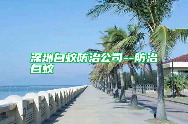 深圳白蟻防治公司--防治白蟻