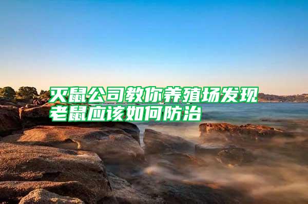 滅鼠公司教你養殖場發現老鼠應該如何防治