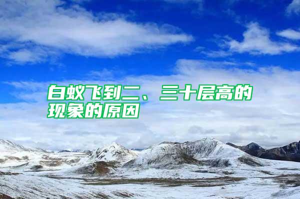 白蟻飛到二、三十層高的現(xiàn)象的原因