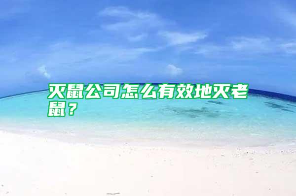 滅鼠公司怎么有效地滅老鼠？