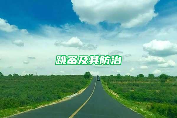 跳蚤及其防治