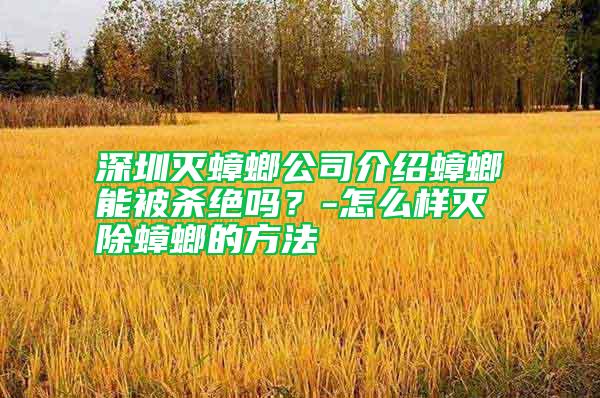 深圳滅蟑螂公司介紹蟑螂能被殺絕嗎？-怎么樣滅除蟑螂的方法