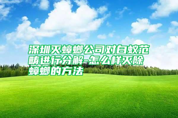 深圳滅蟑螂公司對白蟻范疇進行分解-怎么樣滅除蟑螂的方法