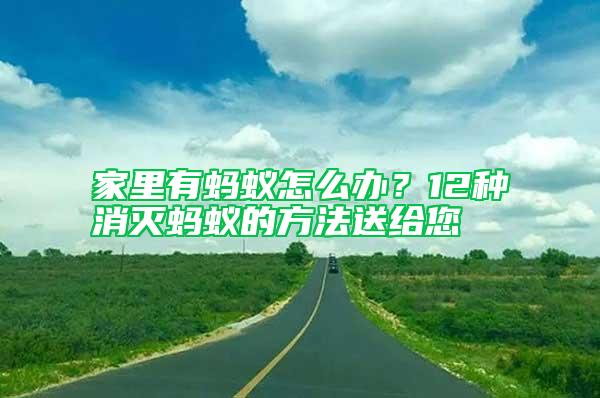 家里有螞蟻怎么辦？12種消滅螞蟻的方法送給您