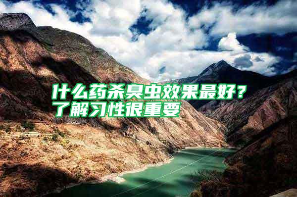 什么藥殺臭蟲效果最好？了解習性很重要