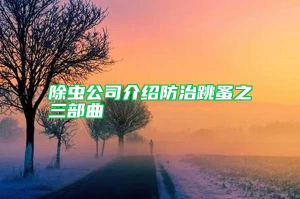 除蟲公司介紹防治跳蚤之三部曲