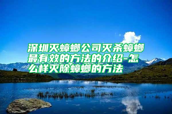 深圳滅蟑螂公司滅殺蟑螂最有效的方法的介紹-怎么樣滅除蟑螂的方法