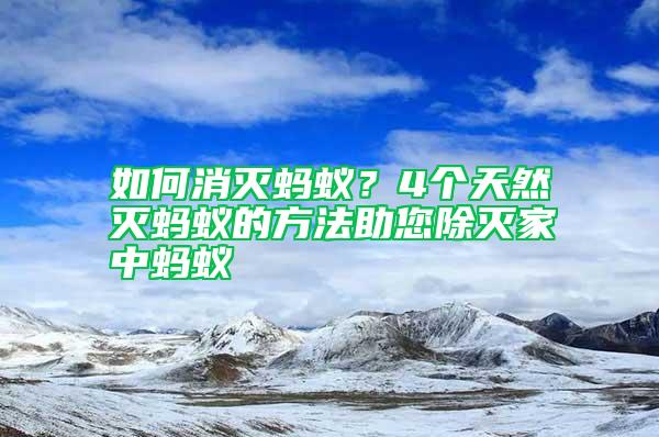 如何消滅螞蟻？4個天然滅螞蟻的方法助您除滅家中螞蟻