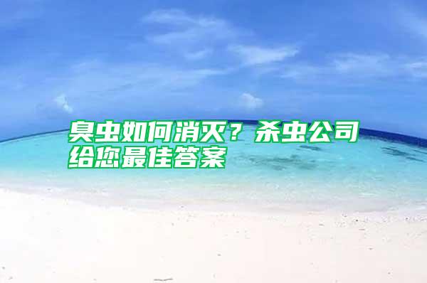 臭蟲如何消滅？殺蟲公司給您最佳答案