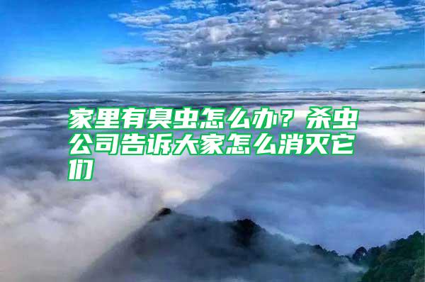 家里有臭蟲怎么辦？殺蟲公司告訴大家怎么消滅它們