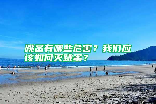 跳蚤有哪些危害？我們應(yīng)該如何滅跳蚤？