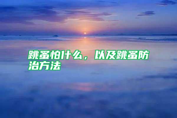 跳蚤怕什么，以及跳蚤防治方法