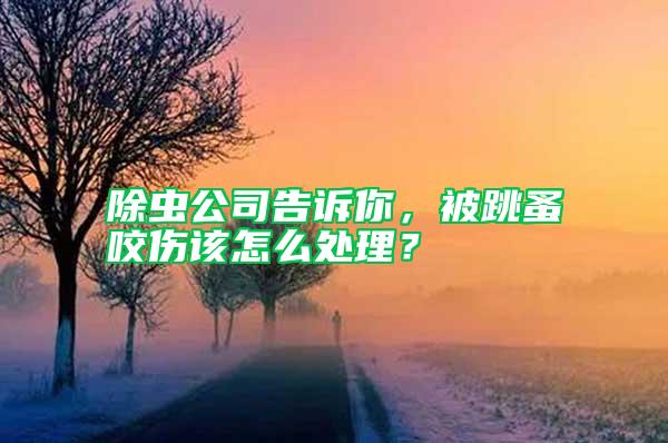 除蟲公司告訴你，被跳蚤咬傷該怎么處理？