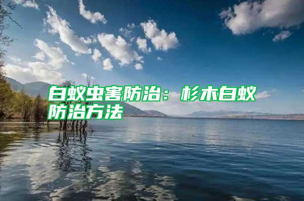 白蟻蟲(chóng)害防治：杉木白蟻防治方法