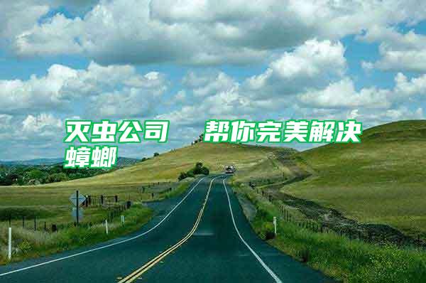 滅蟲公司  幫你完美解決蟑螂