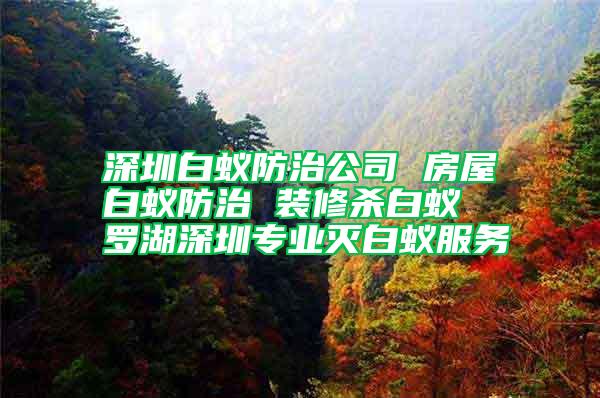 深圳白蟻防治公司 房屋白蟻防治 裝修殺白蟻  羅湖深圳專業滅白蟻服務