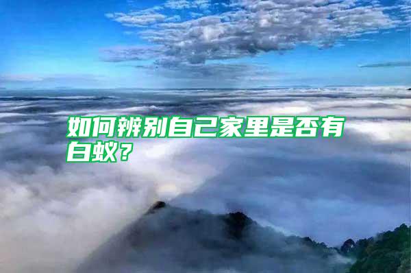 如何辨別自己家里是否有白蟻？