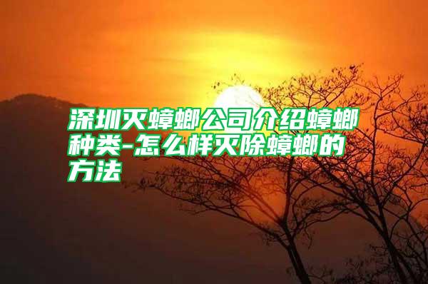 深圳滅蟑螂公司介紹蟑螂種類-怎么樣滅除蟑螂的方法