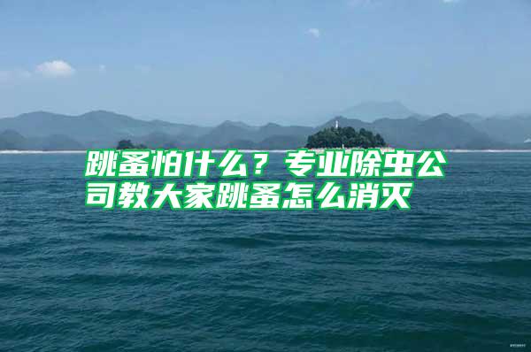 跳蚤怕什么？專業除蟲公司教大家跳蚤怎么消滅