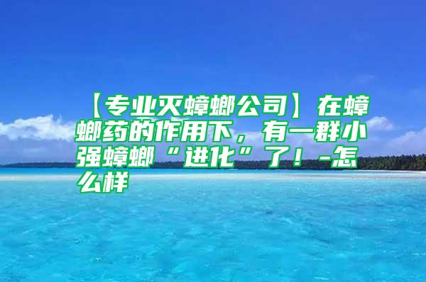 【專業滅蟑螂公司】在蟑螂藥的作用下，有一群小強蟑螂“進化”了！-怎么樣