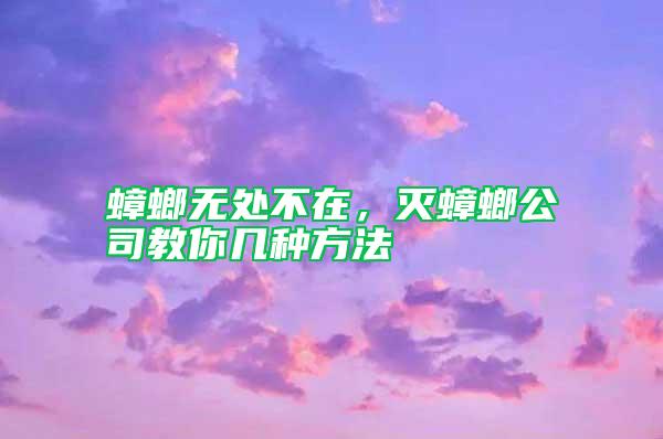 蟑螂無處不在，滅蟑螂公司教你幾種方法