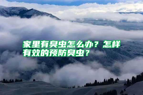 家里有臭蟲怎么辦？怎樣有效的預防臭蟲？