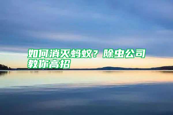 如何消滅螞蟻？除蟲公司教你高招