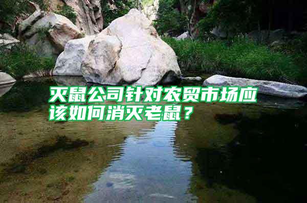 滅鼠公司針對農貿市場應該如何消滅老鼠？