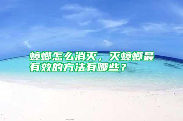 蟑螂怎么消滅，滅蟑螂最有效的方法有哪些？