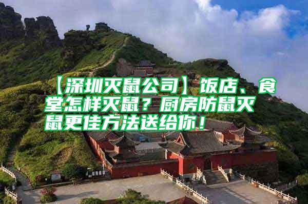 【深圳滅鼠公司】飯店、食堂怎樣滅鼠？廚房防鼠滅鼠更佳方法送給你！